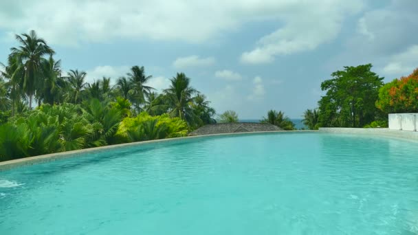 豪華な熱帯リゾートのスイミング プール — ストック動画