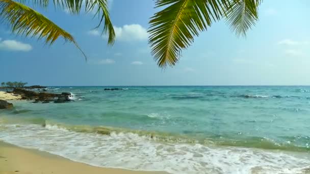 Playa Tropical Con Palmeras Olas Azules Del Océano — Vídeos de Stock