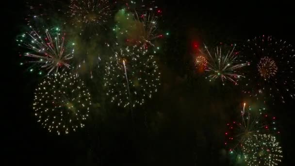 Clip 4K Beau feu d'artifice sur le ciel nocturne 