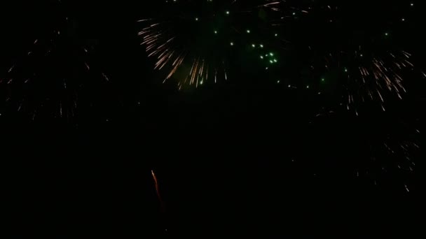 Clip Bela Exibição Fogos Artifício Céu Noturno — Vídeo de Stock