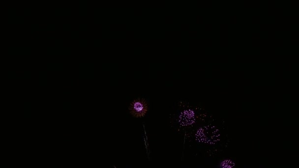 Clip 4K Beau feu d'artifice sur le ciel nocturne 