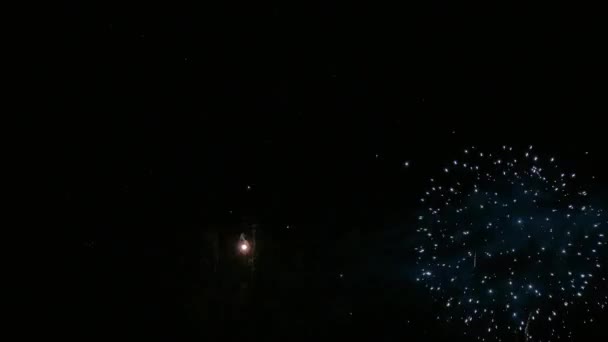 Clip Hermosa Exhibición Fuegos Artificiales Cielo Nocturno — Vídeos de Stock