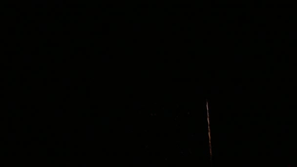 Clip 4K Beau feu d'artifice sur le ciel nocturne 