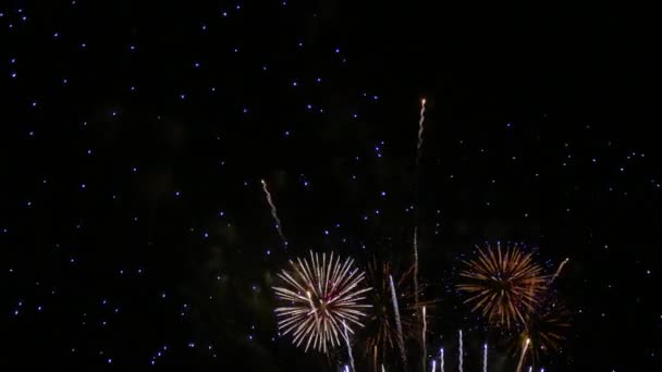 4K剪辑夜空中美丽的烟火表演 — 图库视频影像
