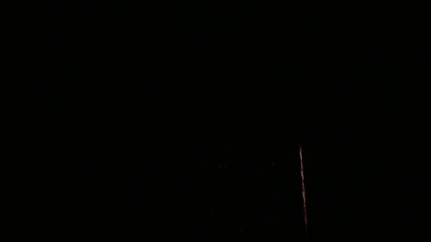 Clip Hermosa Exhibición Fuegos Artificiales Cielo Nocturno — Vídeos de Stock