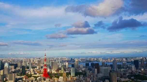日本东京市的航拍图 — 图库视频影像