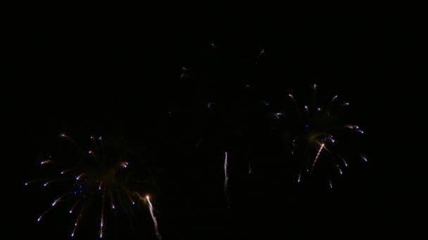 Clip Schönes Feuerwerk Nachthimmel — Stockvideo