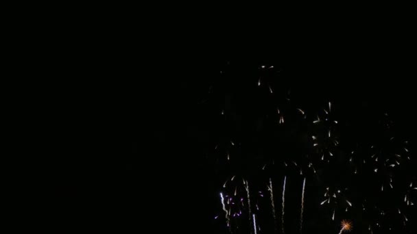 Clip Mooi Vuurwerk Display Nachtelijke Hemel — Stockvideo