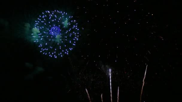Clip Hermosa Exhibición Fuegos Artificiales Cielo Nocturno — Vídeo de stock