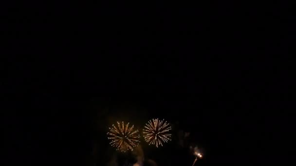 Clip 4K Beau feu d'artifice sur le ciel nocturne 