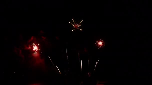 Clip 4K Beau feu d'artifice sur le ciel nocturne 
