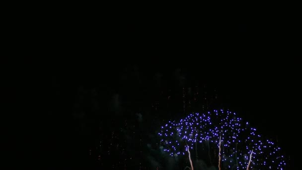 4Kクリップ夜空に美しい花火大会 — ストック動画