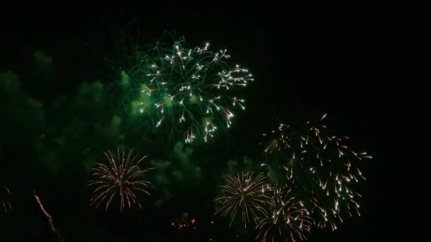 Clip Hermosa Exhibición Fuegos Artificiales Cielo Nocturno — Vídeo de stock