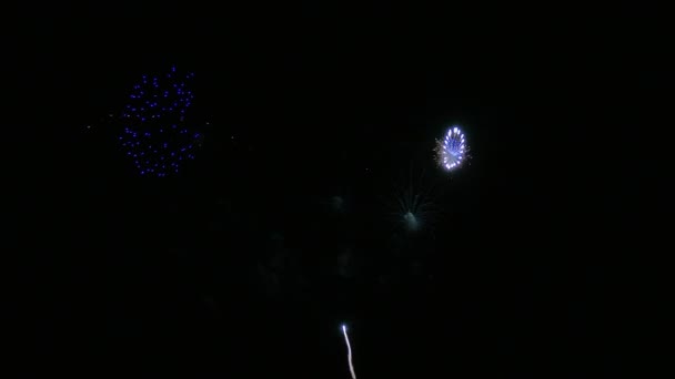 Clip Beau Feu Artifice Sur Ciel Nocturne — Video