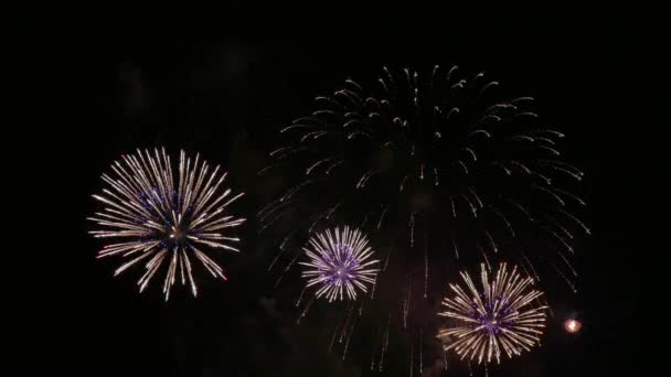 Clip Hermosa Exhibición Fuegos Artificiales Cielo Nocturno — Vídeo de stock