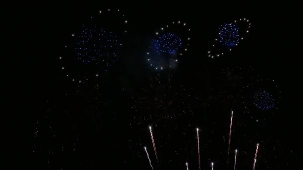 Clip 4K Beau feu d'artifice sur le ciel nocturne 