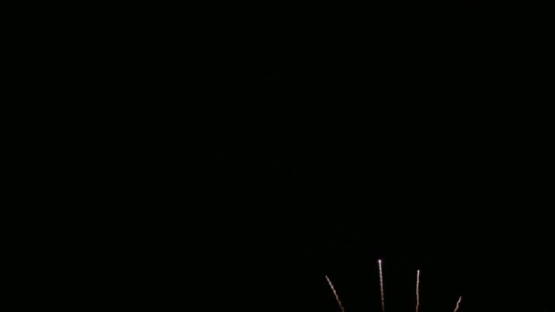 Clip 4K Beau feu d'artifice sur le ciel nocturne 