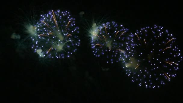Clip Bela Exibição Fogos Artifício Céu Noturno — Vídeo de Stock
