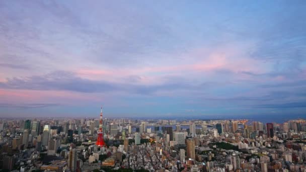 Vista Aérea Ciudad Tokio Japón — Vídeo de stock