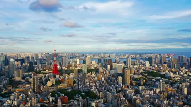 東京都の空中風景 — ストック動画