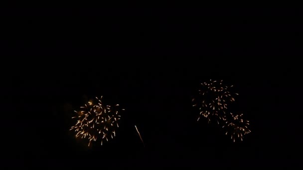 Clip Hermosa Exhibición Fuegos Artificiales Cielo Nocturno — Vídeos de Stock