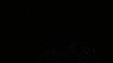 4k klip Gece gökyüzünde Güzel Havai fişek görüntüsü