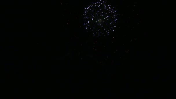 Κλιπ Όμορφη Επίδειξη Πυροτεχνημάτων Στο Νυχτερινό Ουρανό — Αρχείο Βίντεο