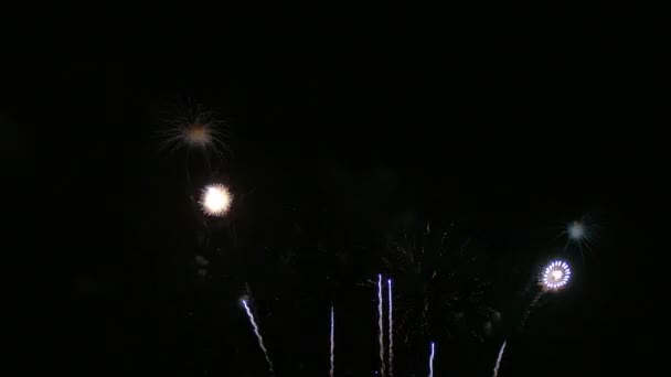 Κλιπ Όμορφη Επίδειξη Πυροτεχνημάτων Στο Νυχτερινό Ουρανό — Αρχείο Βίντεο