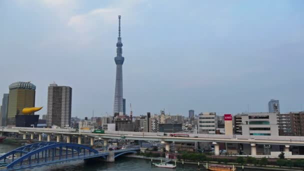 Time Lapse Van Osaka Stad Japan — Stockvideo