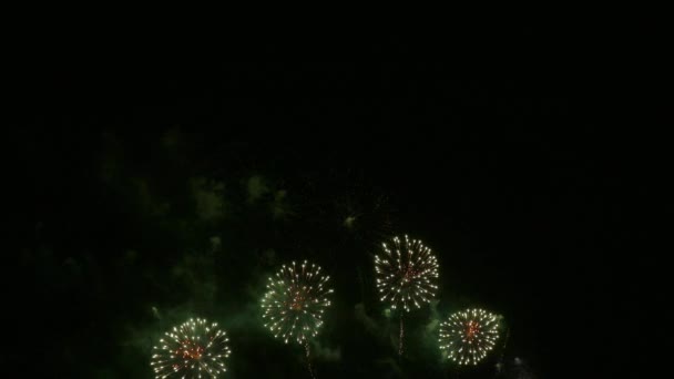 Klip Gyönyörű Tűzijáték Kijelző Éjszakai Égen — Stock videók