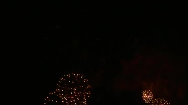 Clip Bela Exibição Fogos Artifício Céu Noturno — Vídeo de Stock