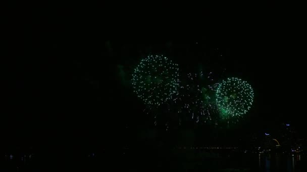 Klip Gyönyörű Tűzijáték Kijelző Éjszakai Égen — Stock videók