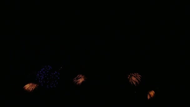 Clip 밤하늘의 아름다운 불꽃놀이 — 비디오