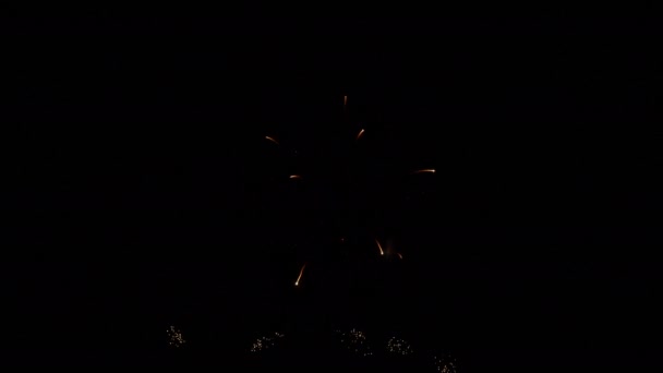 Clip 4K Beau feu d'artifice sur le ciel nocturne 