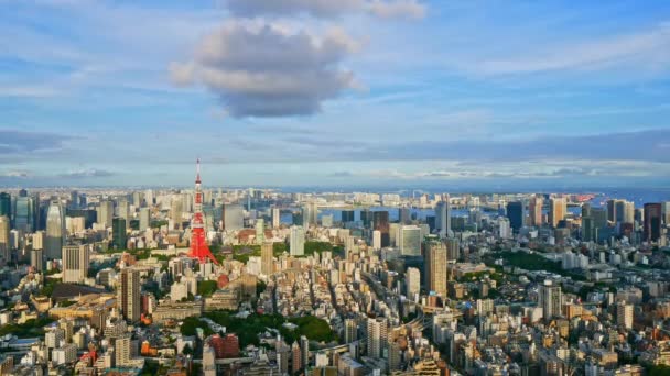 Vista Aérea Ciudad Tokio Japón — Vídeo de stock