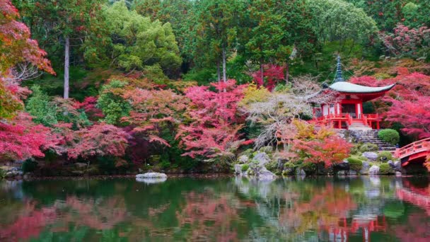 赤い紅葉と湖のある枝 — ストック動画
