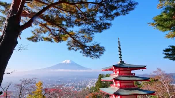 日本富士山和楚里托塔的五彩缤纷的秋天风景 — 图库视频影像