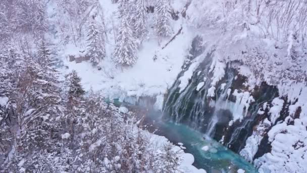 松林と凍る川の素晴らしい冬の風景 — ストック動画