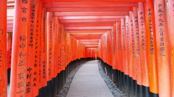 Torii Fama Del Santuario Fushimi Inari Kyoto Japón — Vídeo de stock