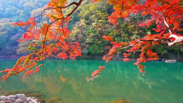 Арашияма Осенью Киото Япония — стоковое видео