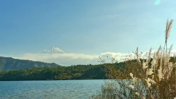 日本の富士山とカラフルな秋の風景 — ストック動画