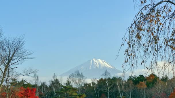 Japonya Daki Fuji Dağı Ile Renkli Sonbahar Manzarası — Stok video