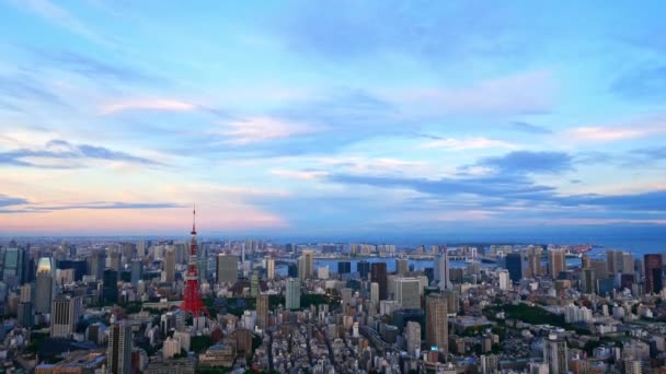 Tokyo Şehrinin Havadan Görünüşü Japonya — Stok video