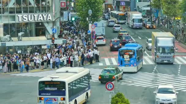 Tokio Japón Julio 2018 Gente Caminando Por Cruce Shibuya — Vídeos de Stock