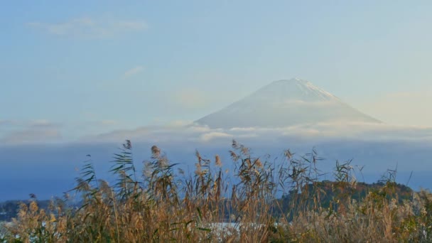 Paesaggio Autunnale Colorato Con Montagna Fuji Giappone — Video Stock