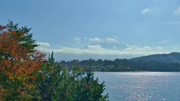 Colorido Paisaje Otoñal Con Montaña Fuji Japón — Vídeo de stock