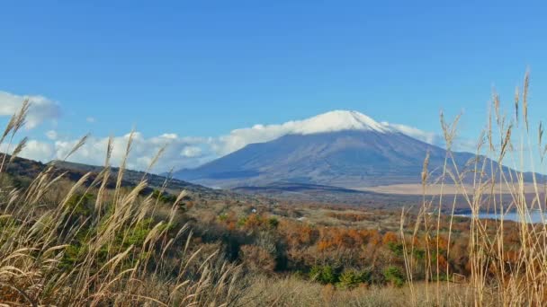 Paisagem Outono Colorido Com Montanha Fuji Japão — Vídeo de Stock