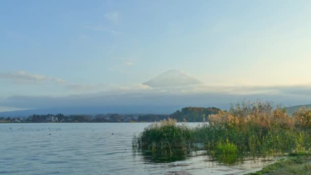 Kleurrijk Herfstlandschap Met Berg Fuji Japan — Stockvideo