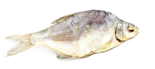 Suche, ryby na białym tle. poziome zdjęcie — Zdjęcie stockowe