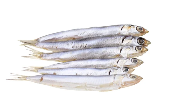 Anchovas salgadas europeias isoladas sobre fundo branco Fotografia De Stock